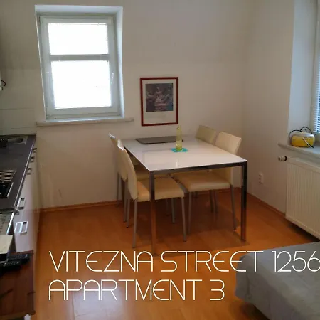 Vitezna 1256/36 * Karlovy Vary
