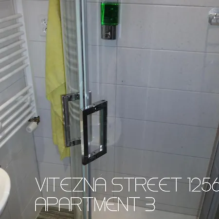 Vitezna 1256/36 Karlovy Vary