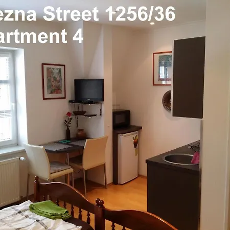 Vitezna 1256/36 شقة فندقية كارلوفي فاري