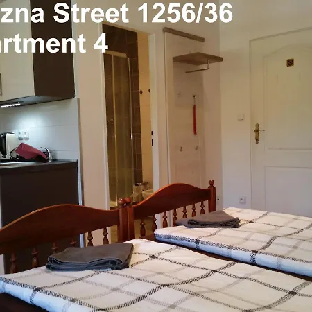 Vitezna 1256/36 كارلوفي فاري