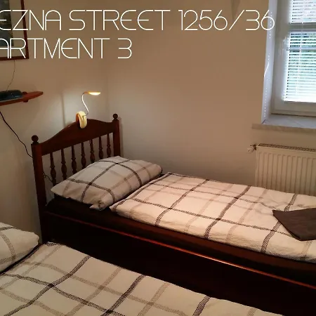 Vitezna 1256/36 Aparthotel Karlsbad