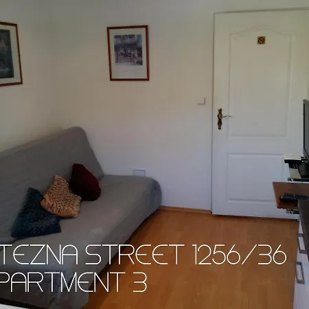 شقة فندقية Vitezna 1256/36 كارلوفي فاري