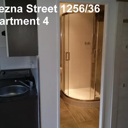 Vitezna 1256/36 كارلوفي فاري